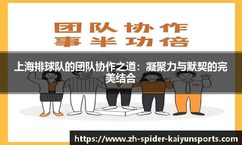 上海排球队的团队协作之道：凝聚力与默契的完美结合