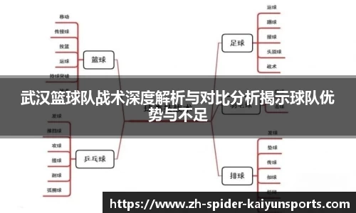 武汉篮球队战术深度解析与对比分析揭示球队优势与不足